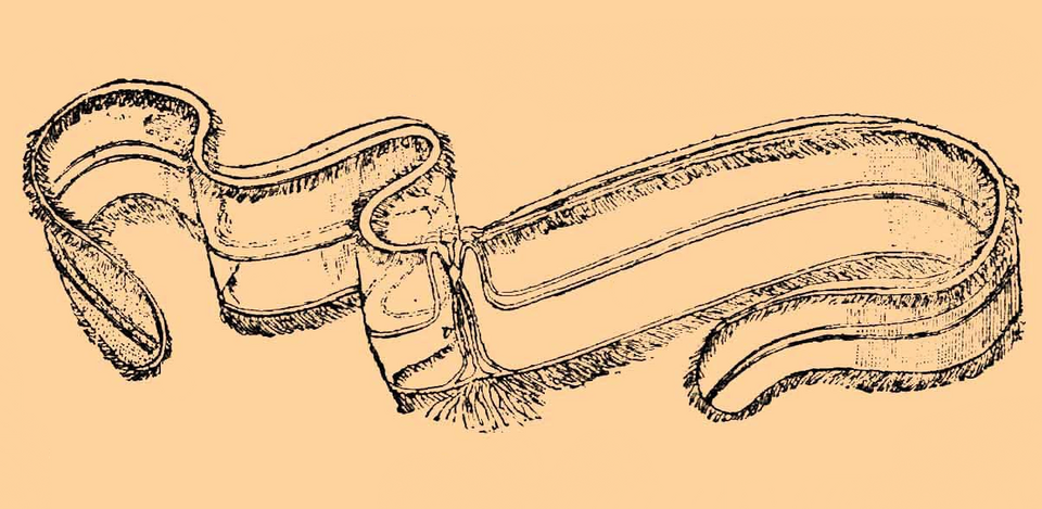 Cestidae