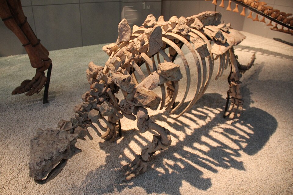 Zhejiangosaurus