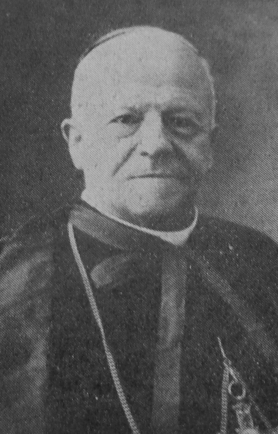 Federico Cattani Amadori