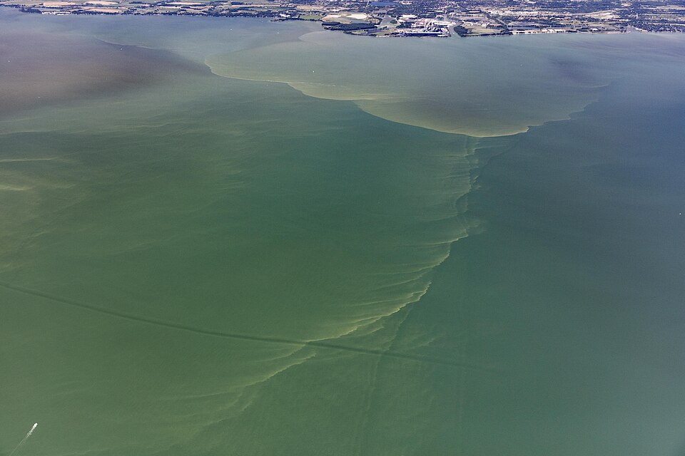 nutrient pollution