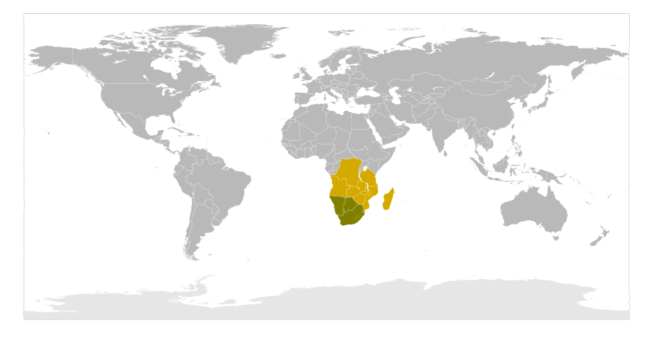 United Nations Security Council Resolution 1295