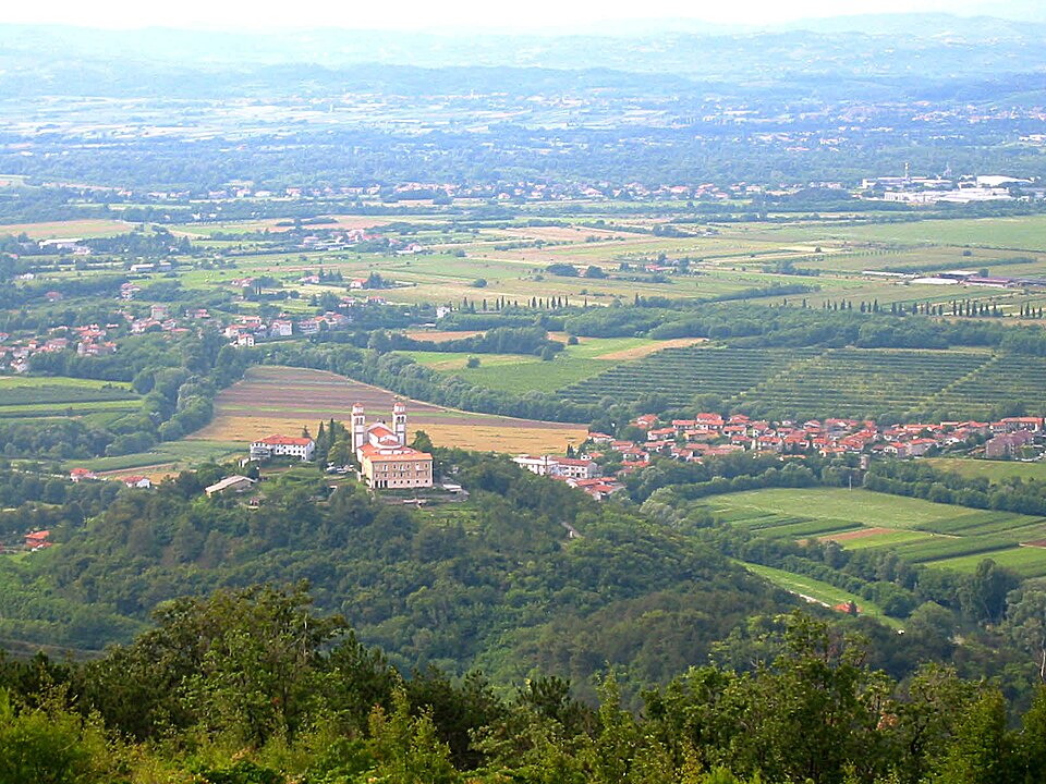 Bilje
