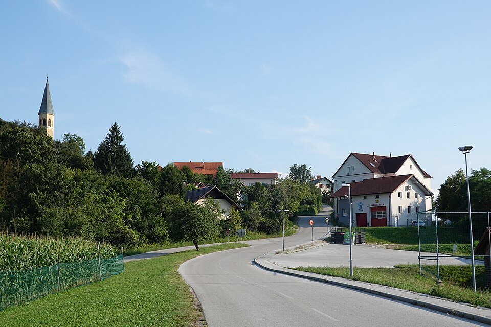 Veliki Trn
