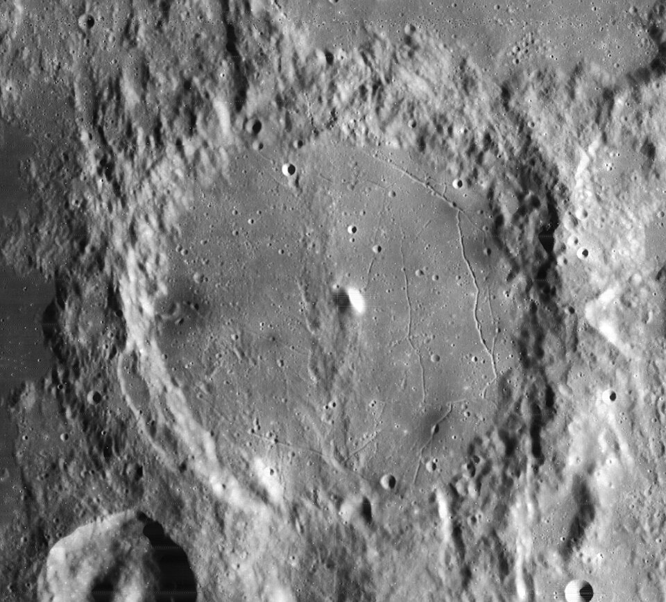 Alphonsus