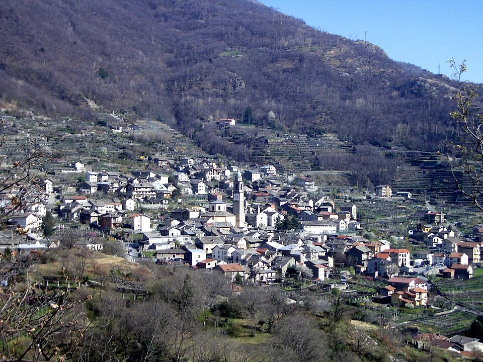Carema