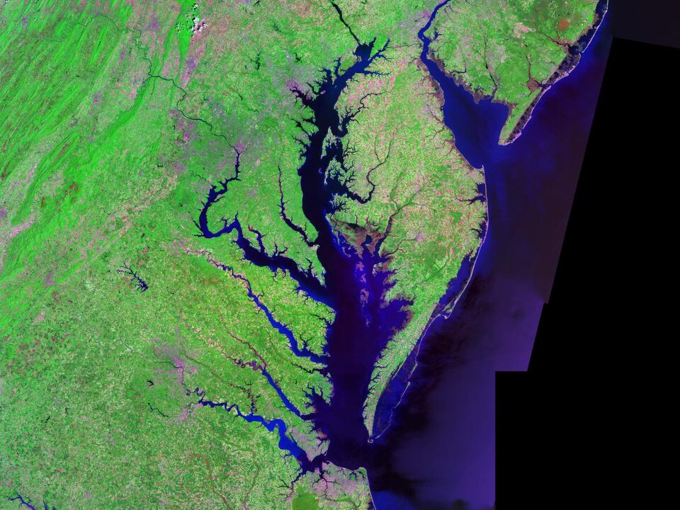 Delaware Bay