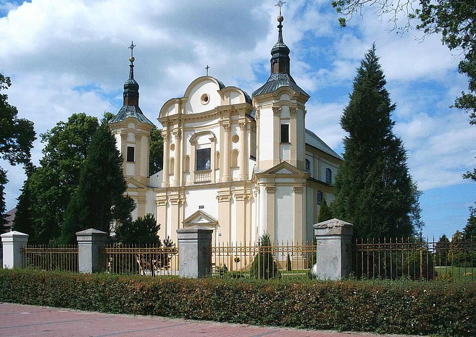 Jasieniec