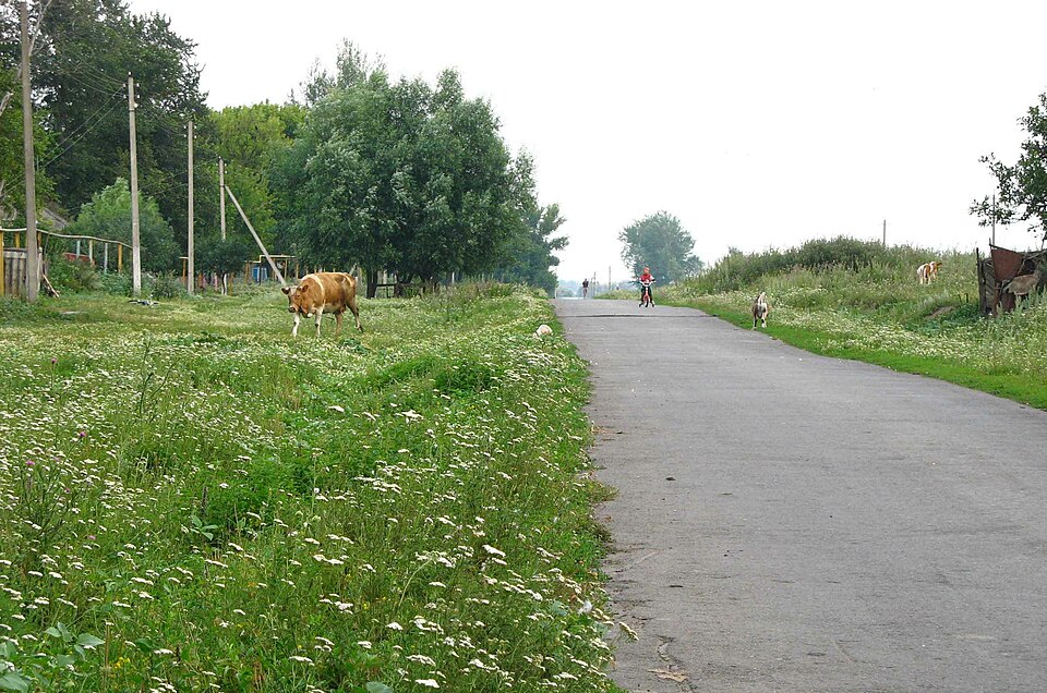 Krivosheyevka
