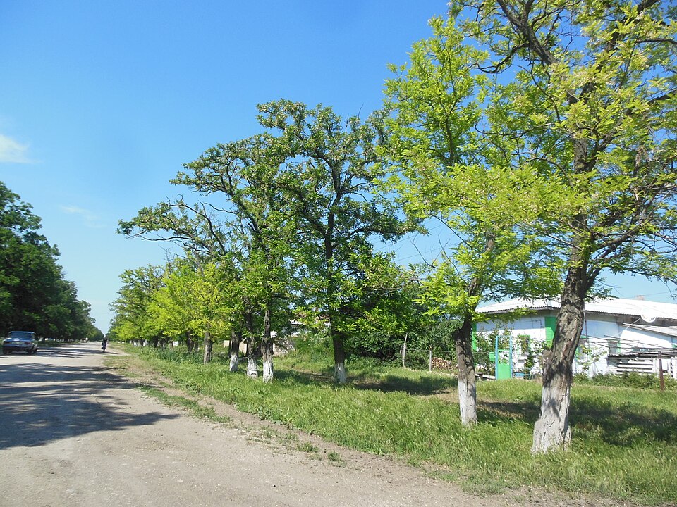 Sovietskyi Raion