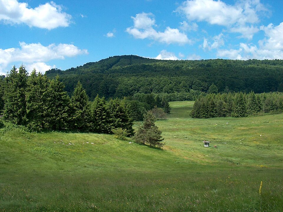 Uzana
