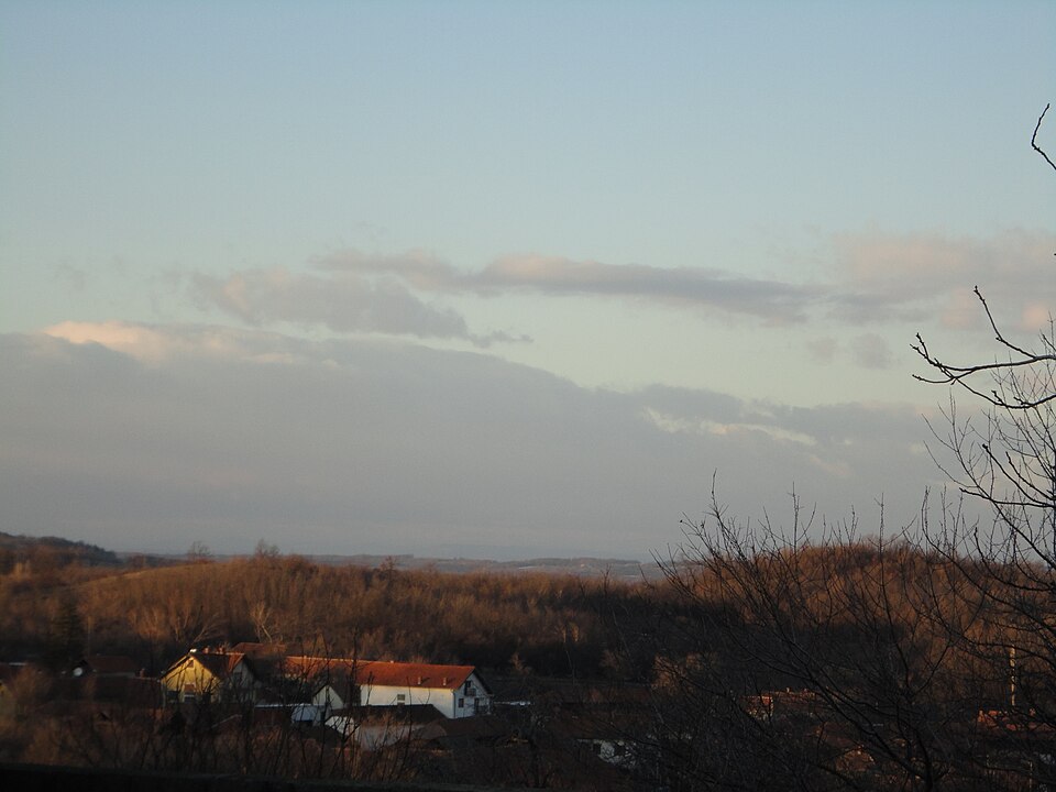 Brestovac, Negotin