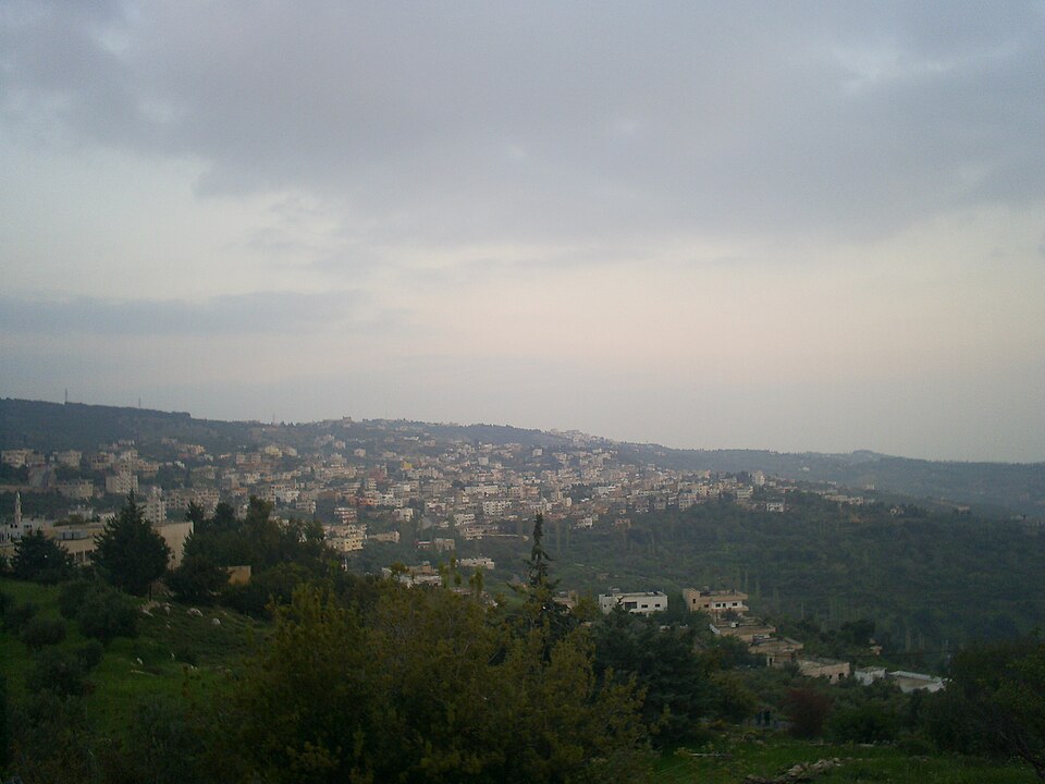 Mahis