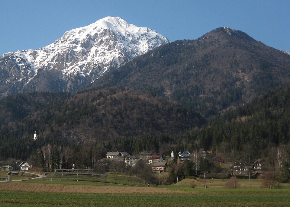 Mače