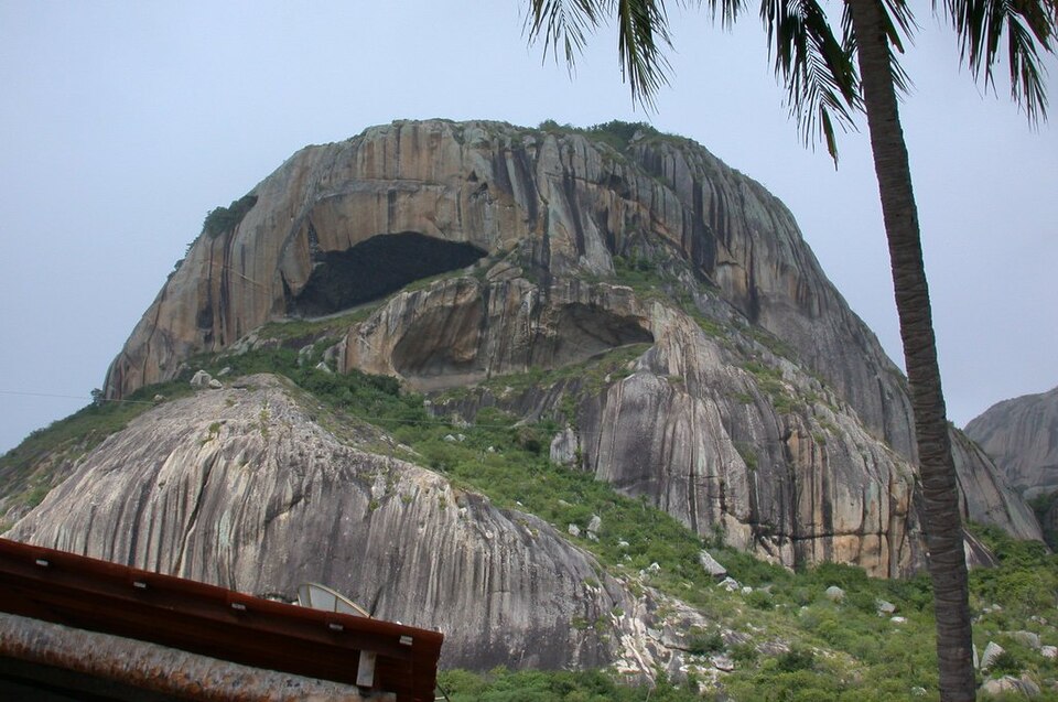 Araruna