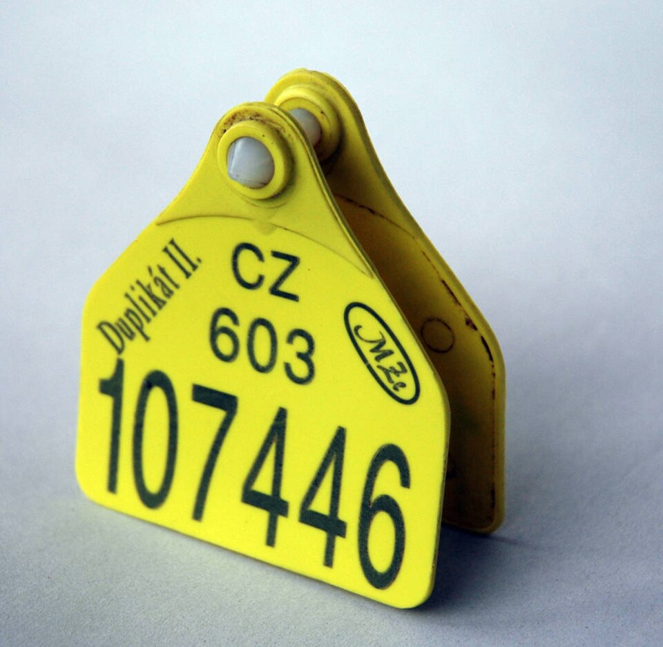 ear tag