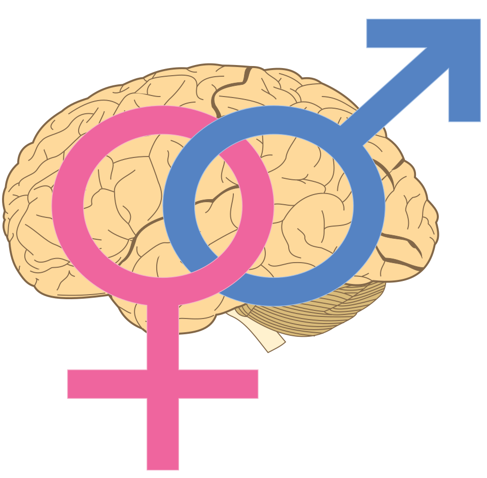 sapiosexuality