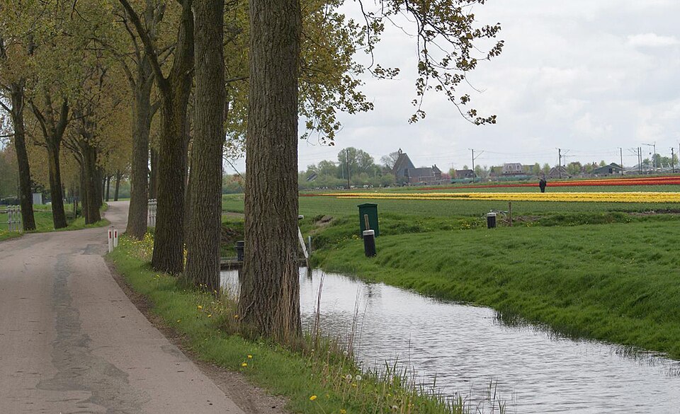 Zuidermeer