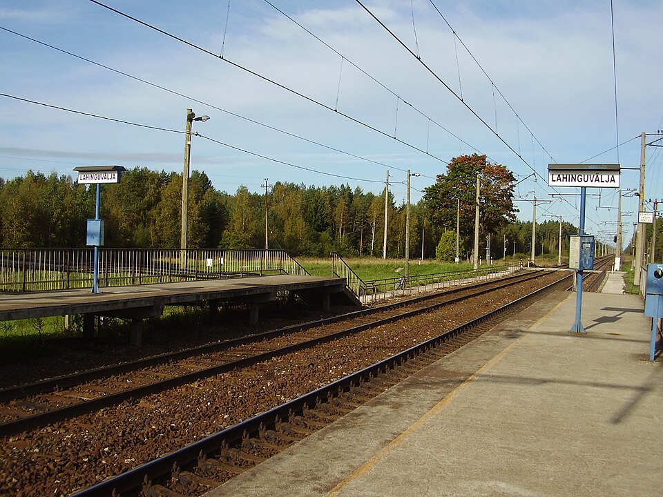 Vikipalu