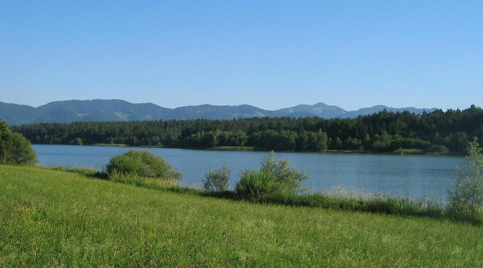 Podvrh