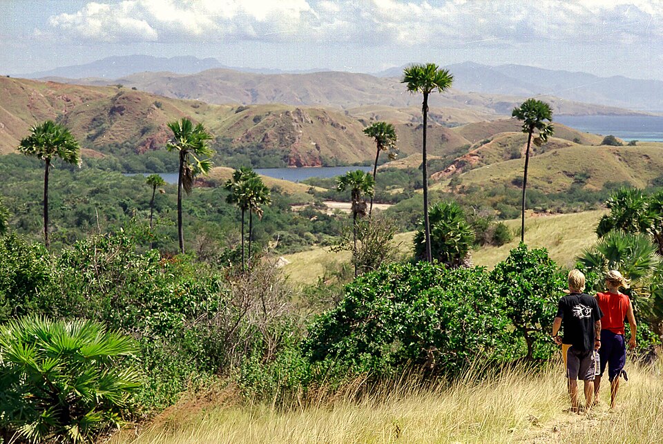 Rinca Island