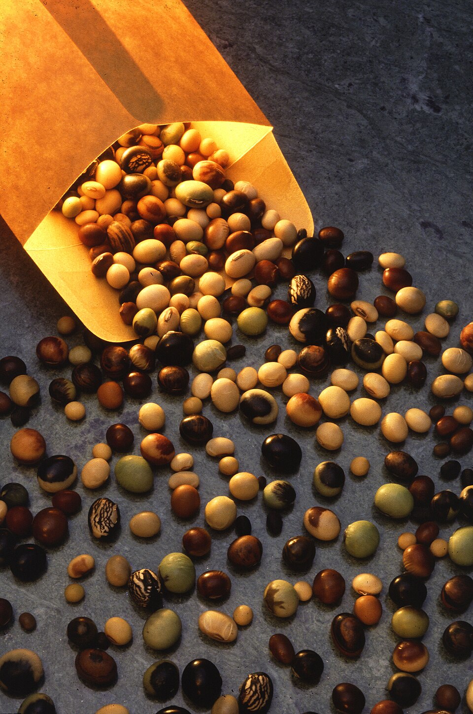 World Pulses Day