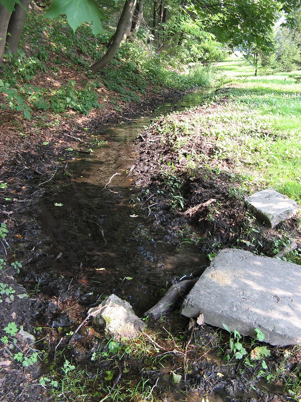 Poltva River