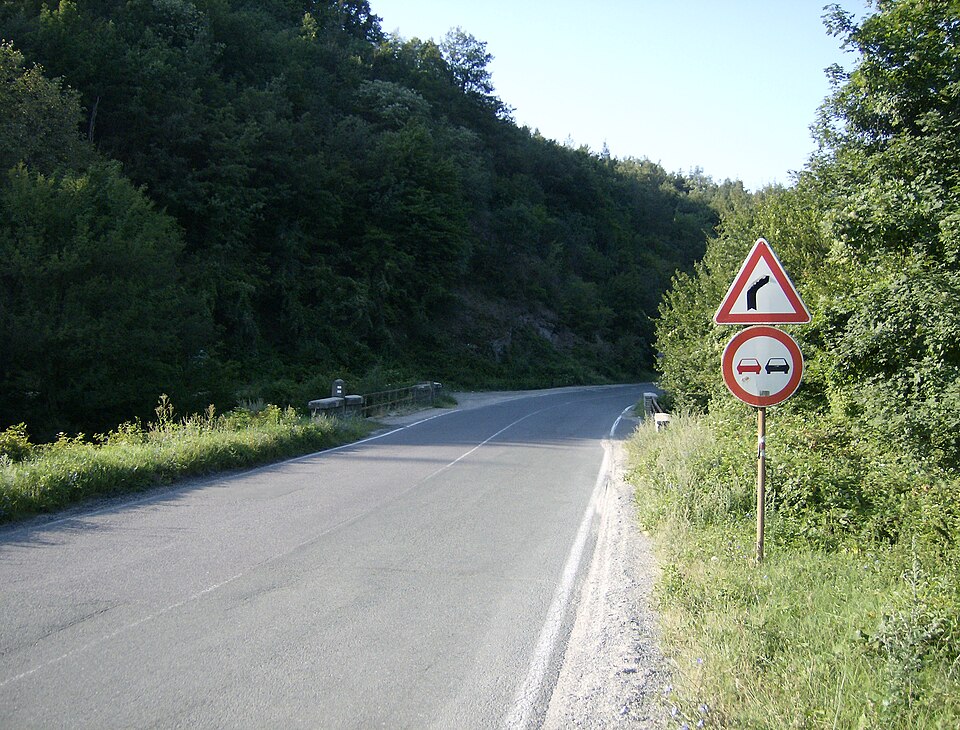 Battle of the Rishki Pass