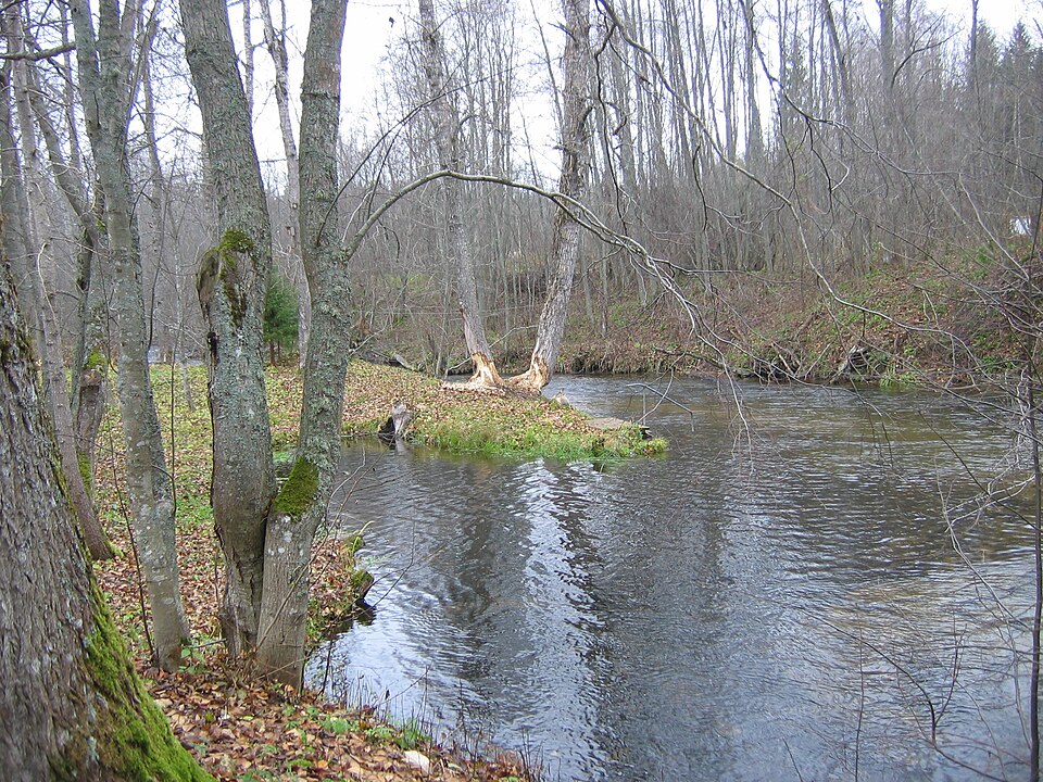 Valdayka