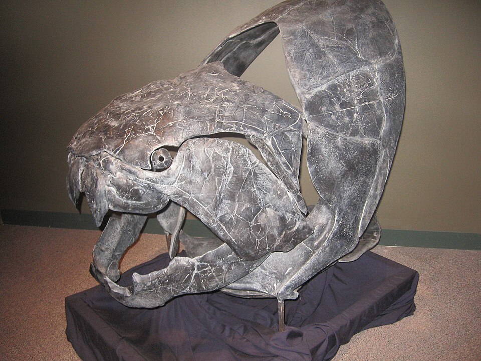 Placoderms