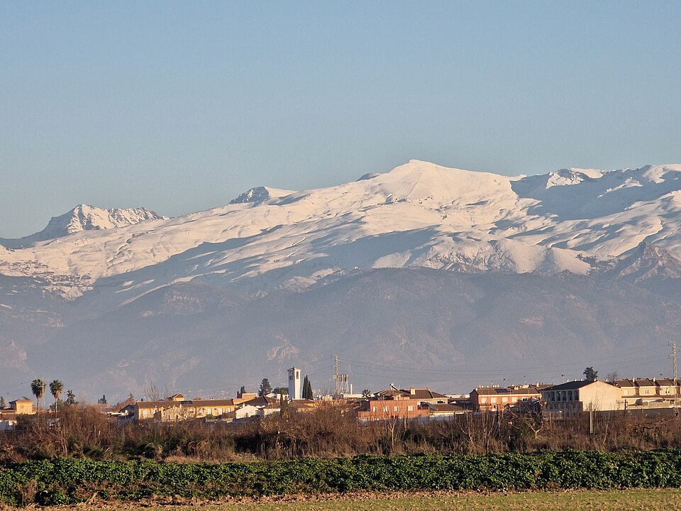 Cijuela