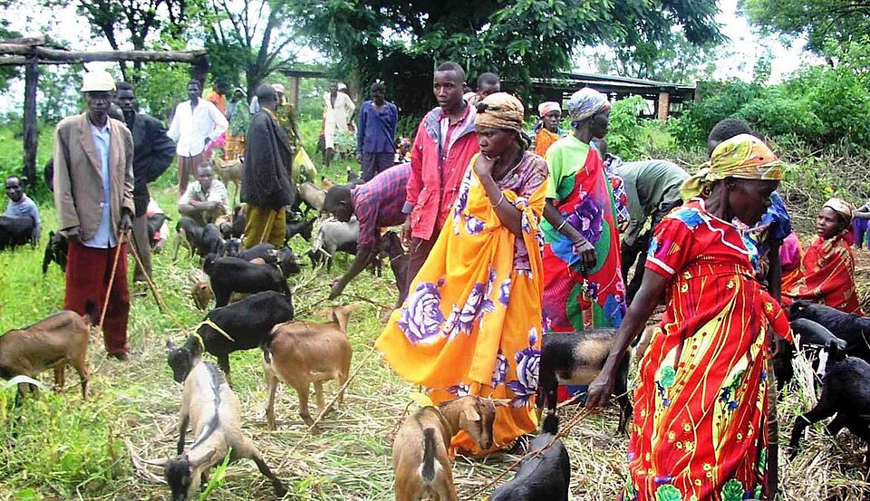 Karuzi Province