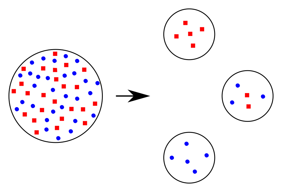 founder effect