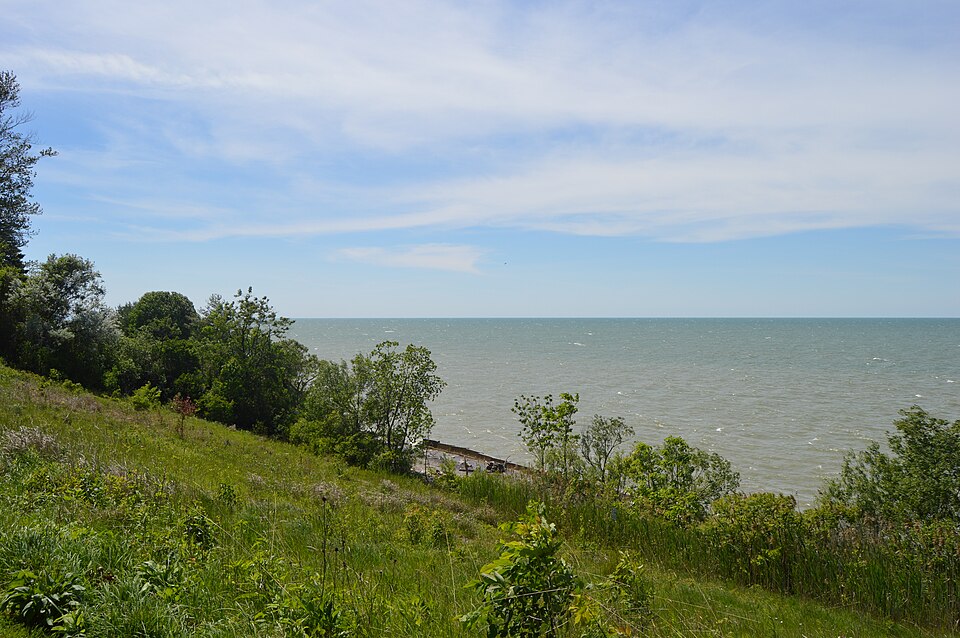 Willowick