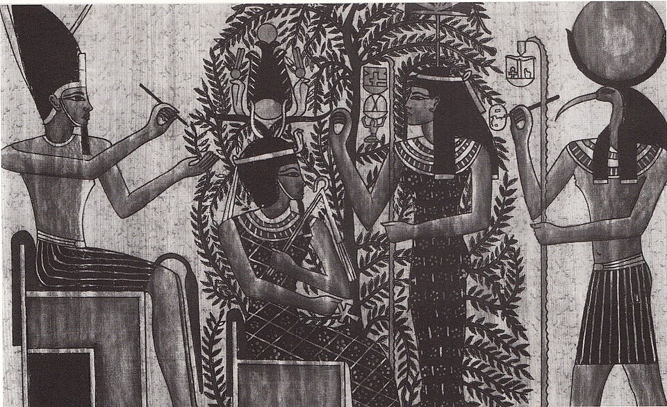 Berenice III