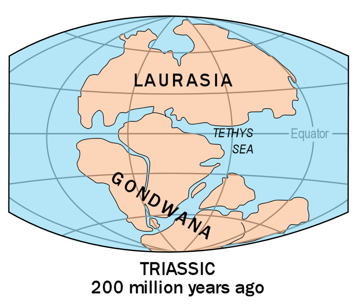 supercontinent