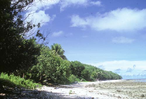 Sonsorol
