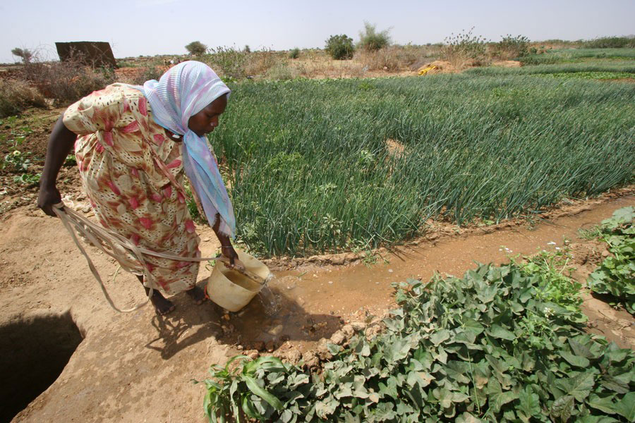 North Darfur