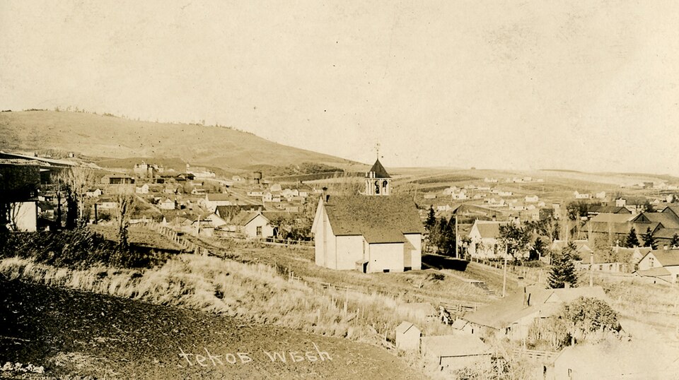 Tekoa